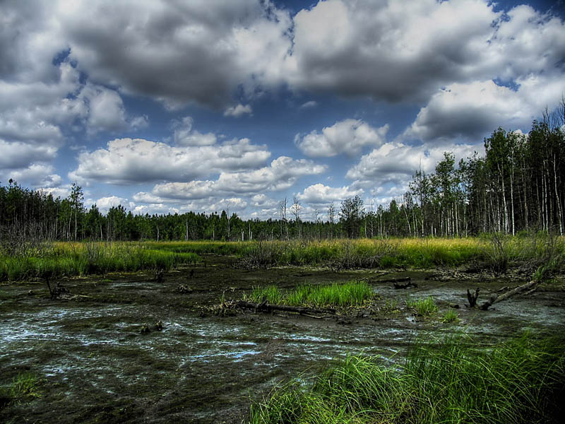 гиблых мест