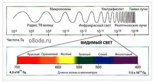 cxema